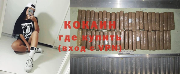 ешки Алексин