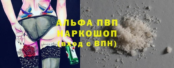 ешки Алексин